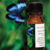 Acceptance Blend 10 mL