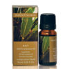 West Indies Bay Essential Oil