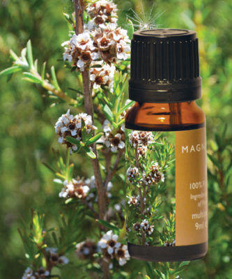 Fragonia Essential Oil 10mL (unboxed)