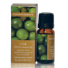 Lime Essential Oil