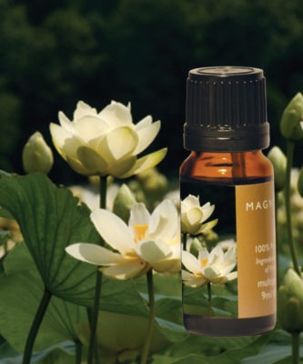 Lotus (White) in Jojoba 3% in joboba 10mL (unboxed)