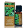 Peppermint Essential Oil