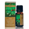 Pine Essential Oil