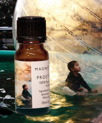 Protection Essential Oil Blend 10mL