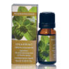 Spearmint Essential Oil