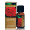 Geranium Essential Oil