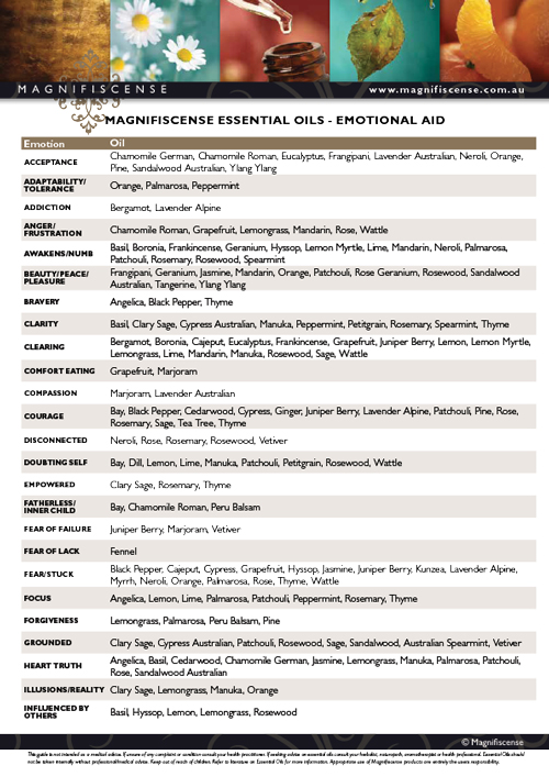 Magnifiscense Emotional Aid and Essential Oils A4 Poster